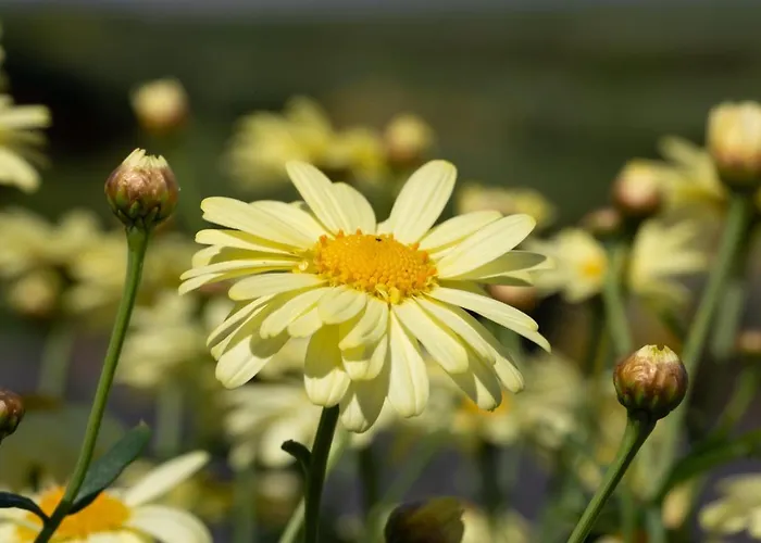 Beenoskee Panzió 3*